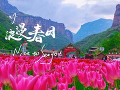 -河南宝泉旅游区