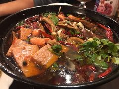 -熊猫川菜馆 panda chine