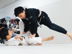 -菠萝格斗巴西柔术训练馆