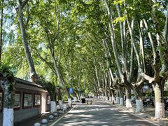 -T80科技文化国际社区-停车场