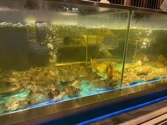 -海天盛宴海鲜自助(正大广场店)