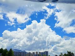-三垟湿地