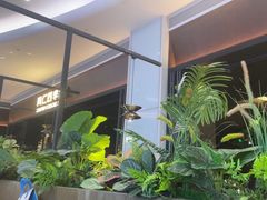 -同仁四季椰子鸡(宝安壹方城店)