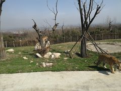 -西安秦岭野生动物园