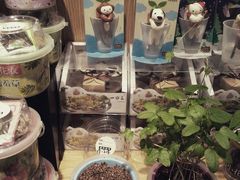 -百新书局(尚悦湾店)