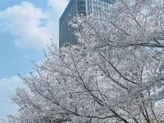 -尚贤河湿地
