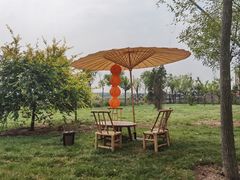 -天津东丽湖风景区