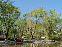 -玲珑塔公园