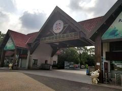 -上海海湾国家森林公园