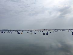 -马銮湾景区