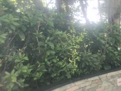 -碧水湾温泉