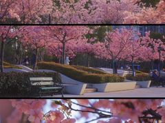 -新江湾城公园