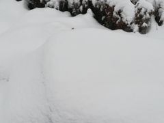 -木塔寺遗址生态公园