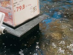 -盒马鲜生(富田新天地店)