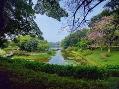 -东莞植物园