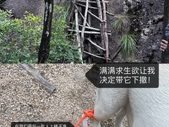 -绩溪龙川景区