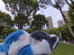 -重庆市江北嘴中央商务区中央公园