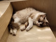 -首开·龙湖成都西宸天街