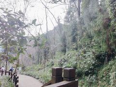 -青城山