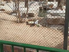 -石家庄市动物园