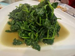 清炒安豆苗-壶园美食·淮扬菜(东圈门店)