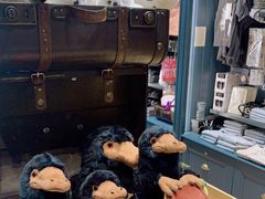 -九又四分之三站台哈利波特商店