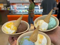 -极拉图·现制冰淇淋(大卫城店)