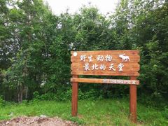 -北极村旅游风景区