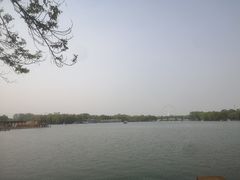 -石家庄市植物园