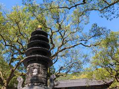 -普陀山风景名胜区-法雨禅寺