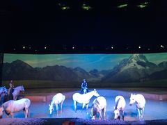 -cavalia·舞马