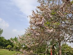 -成都南湖公园
