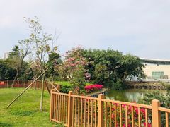 -紫马岭公园