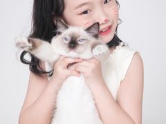 -iF摄影•全家福•证件照•形象照(南山店)