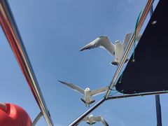 -星海广场