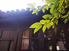 -南京市民俗博物馆(甘熙故居)