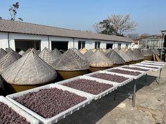 -苏州市吴中区光福窑上花果蜜饯厂