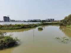 -立新湖公园