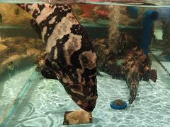 -阿伟海鲜楼·福建菜(延寿店)