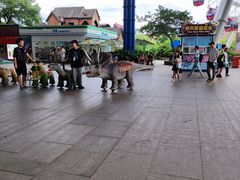 -杭州浪浪浪水公园