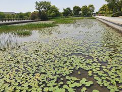 -苏州太湖国家湿地公园