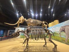 -国家自然博物馆