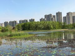 -昆山城市生态森林公园