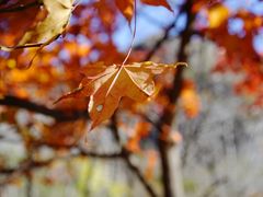 景点-玉渡山自然风景区