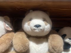 -番茄口袋(上海普陀区环球港店)