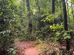 -杭州半山国家森林公园