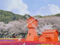 -苏州上方山国家森林公园