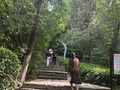 -云龙山
