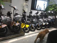 -雅迪电动车(北艾路店)