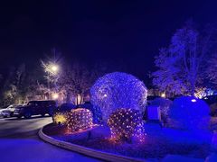 -春晖园度假酒店温泉